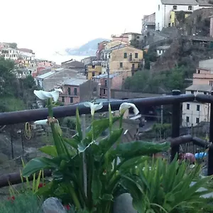 Giuliano , Vernazza Italie