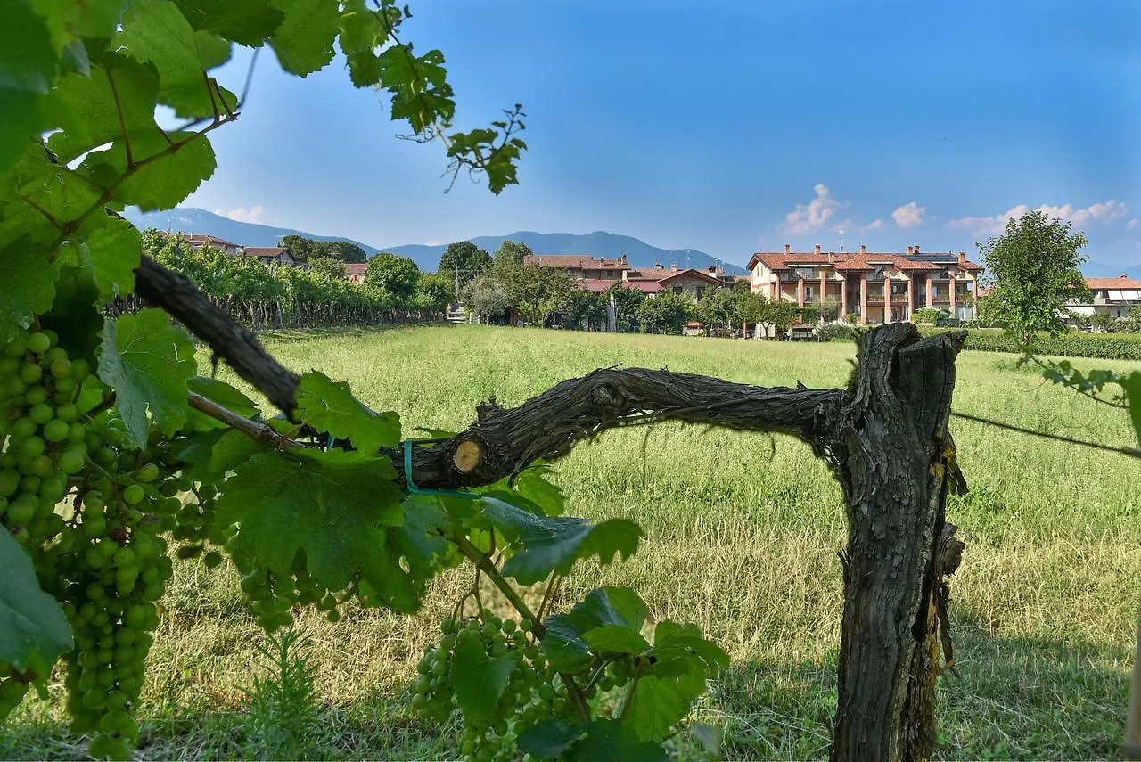 Oda ve Kahvaltı La Terrazza Sulle Vigne B&B Corte Franca